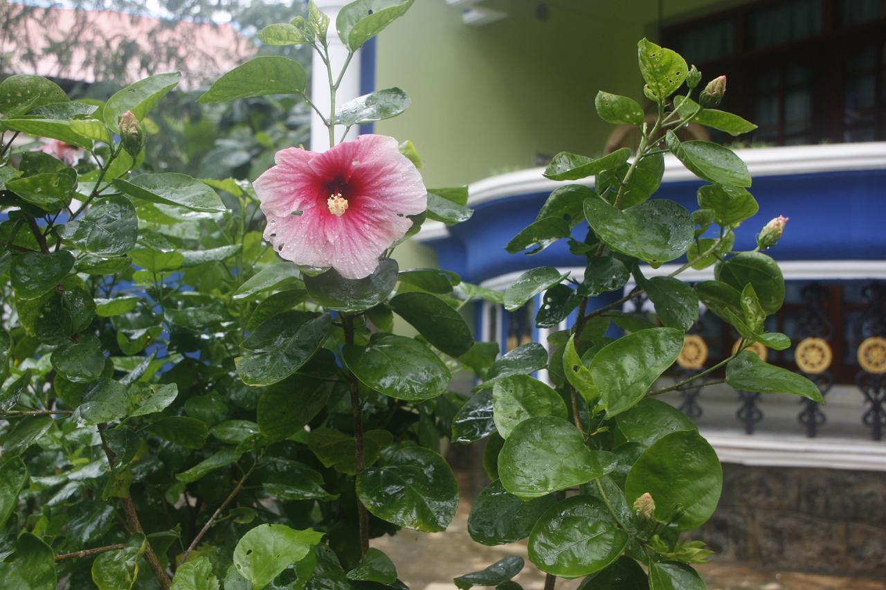 Anitha'S Garden Stay Kovalam Bagian luar foto